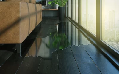 Signs of Water Damage Cleanup Necessities